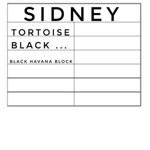 Nwt SMITH optics Sidney styles